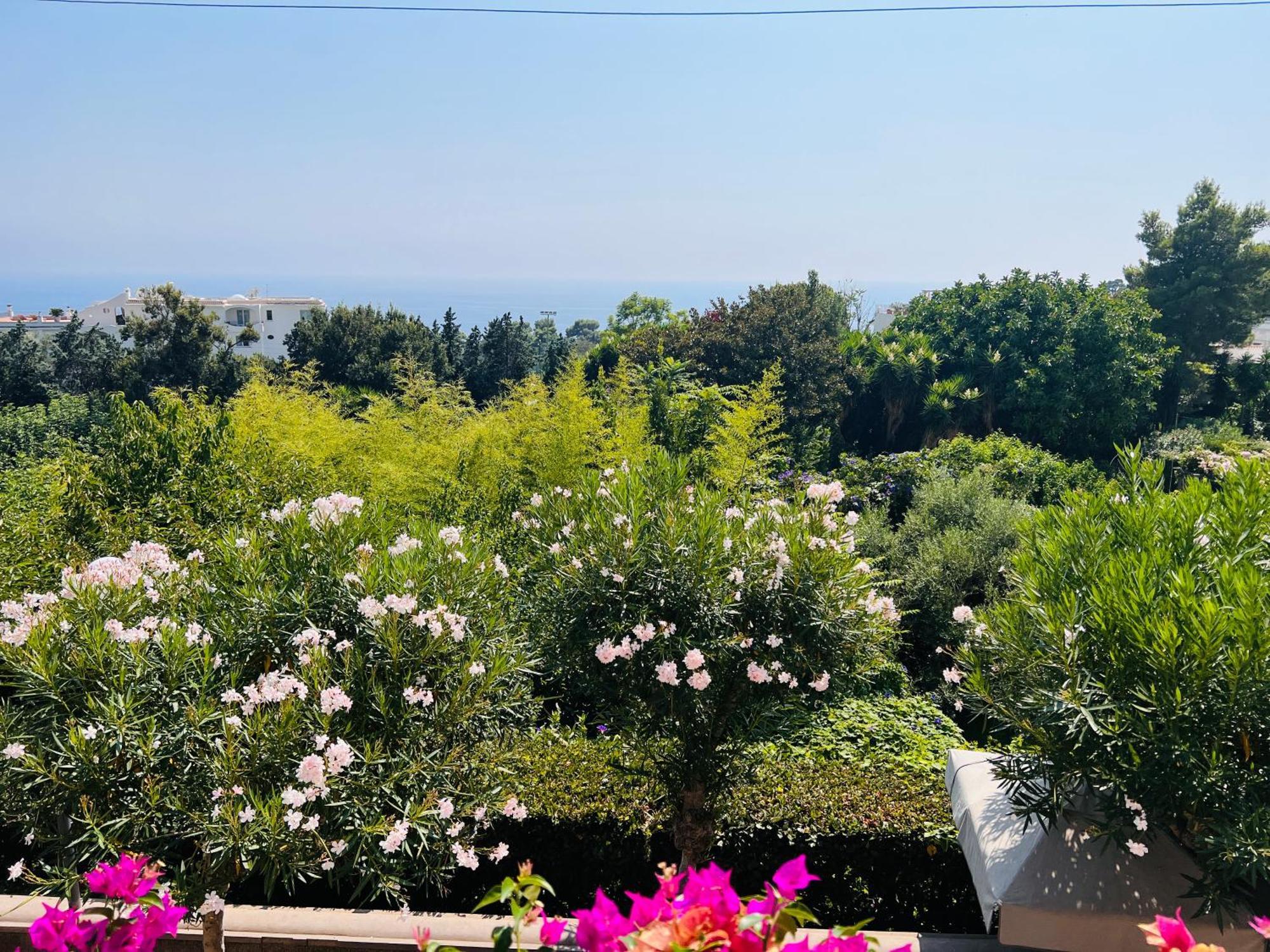 Luxury House In Villa Pompeiana Via Camerelle Con Terrazza Vista Mare Capri Exterior foto